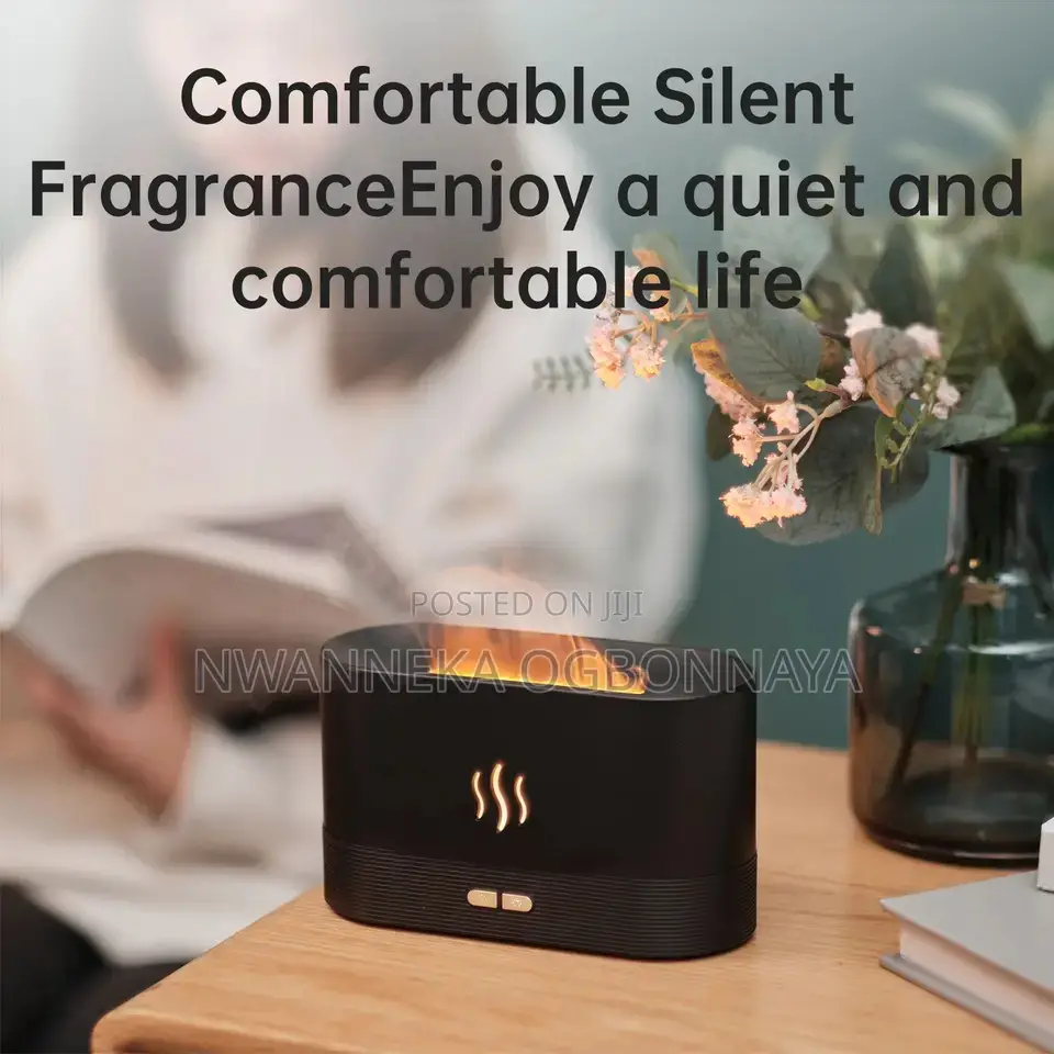 Aroma Diffuser Air Humidifier
