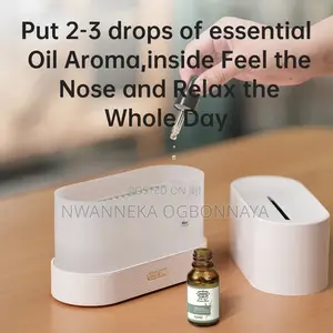 Aroma Diffuser Air Humidifier