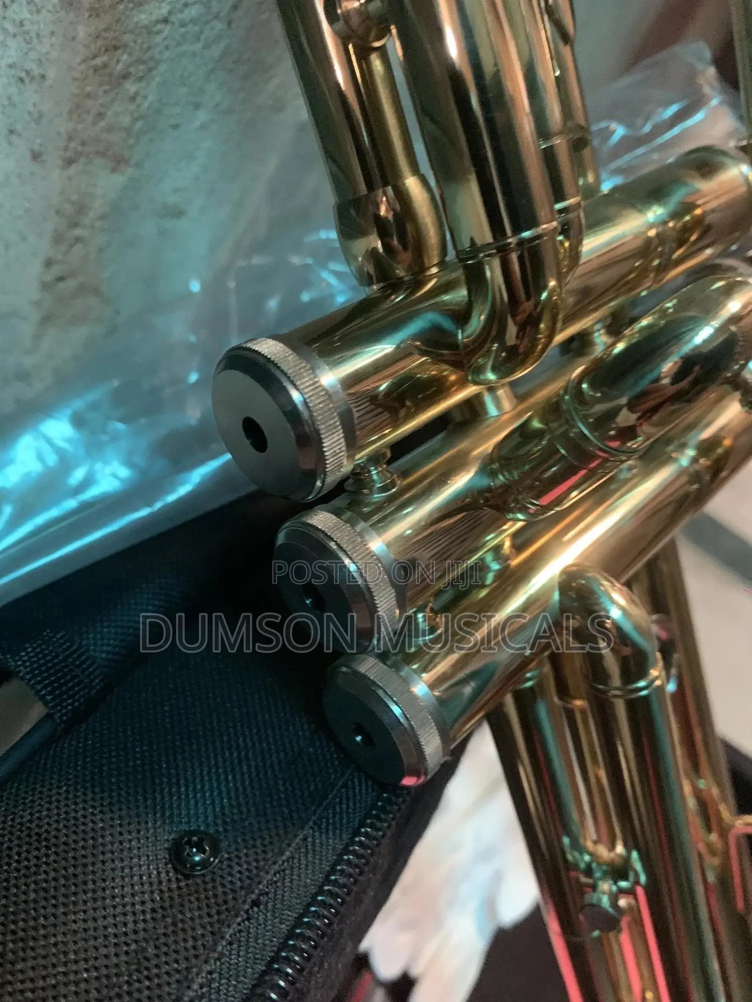 Trumpet Golden Color
