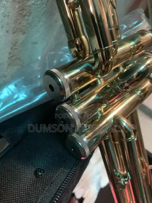 Trumpet Golden Color