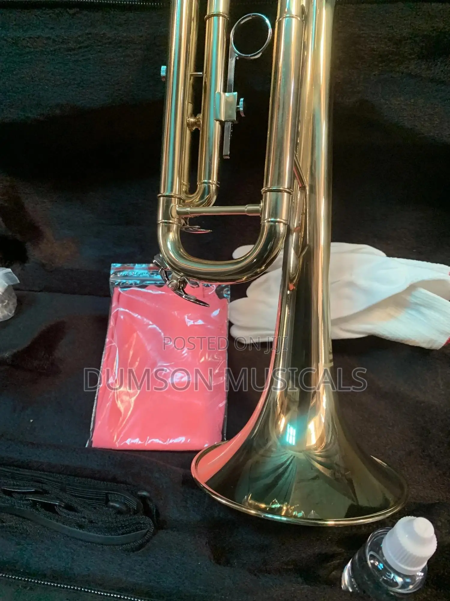 Trumpet Golden Color