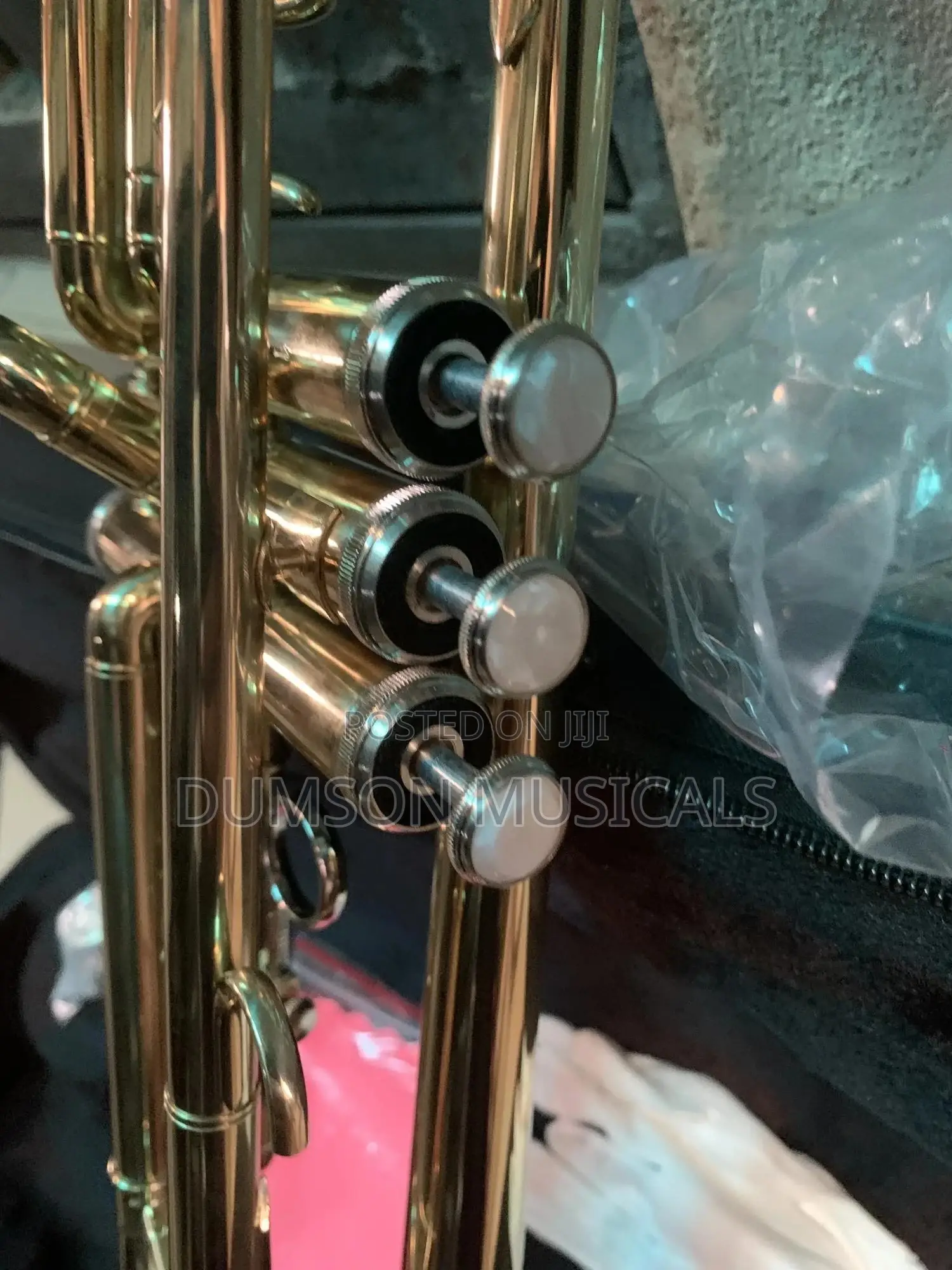 Trumpet Golden Color