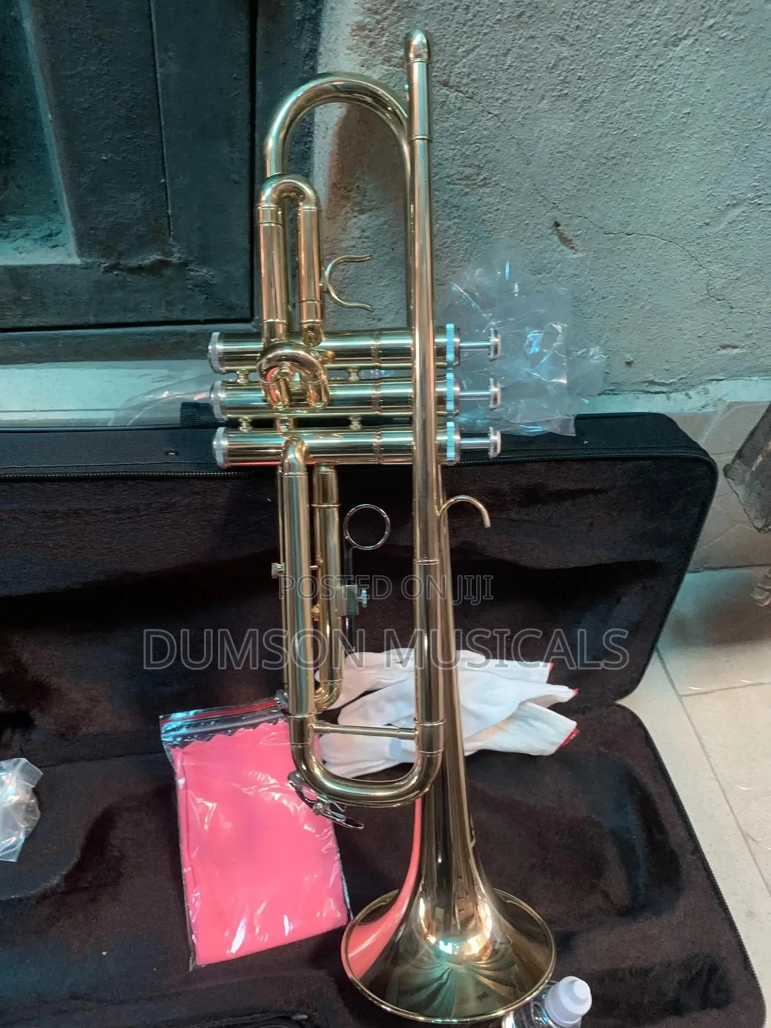 Trumpet Golden Color