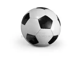 Get All Types of Leather Match Balls