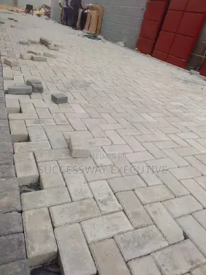 Installation of All Kind of Paving Stone and Maintenance