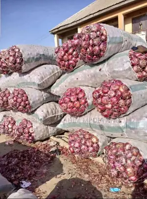 Fresh Onions