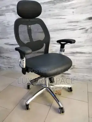 Executive Ergonomic Mesh Office Chair