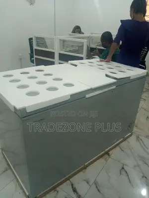 Fc55dd-Hisense Chest Freezer
