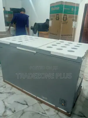 High Quality Hisense Chest Freezer-Fc55dd