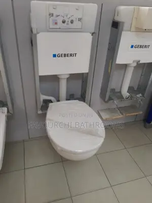 Geberit Concealed Toilet