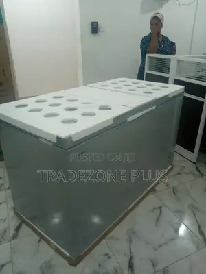 Fc55dd-High Quality Hisense Chest Freezer