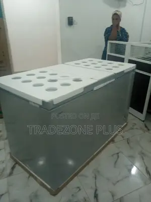 Fc55dd-Hisense High Quality Chest Freezer