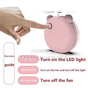 Mini Handheld Fan Makeup Mirror Pig USB Fan