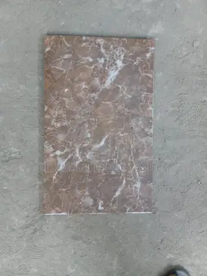 Toilet Wall Tiles 25x40
