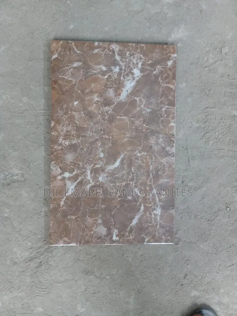 Toilet Wall Tiles 25x40