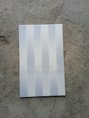Toilet Wall Tiles 25x40