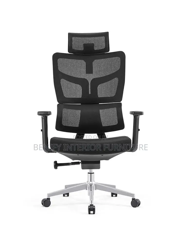 Ergonomic Executive Office Chair