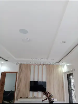 Professional Painter