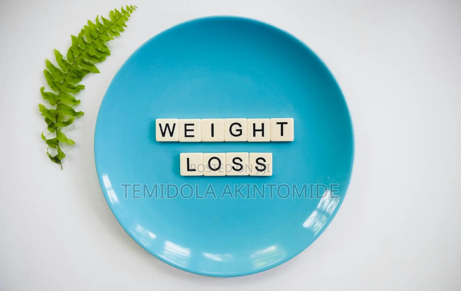 Weight-Fat Loss Program