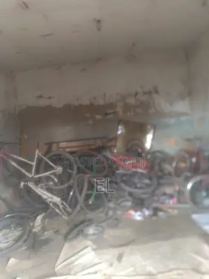 Professional in Bicycle Repair