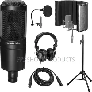 At 2020 Condenser Microphone