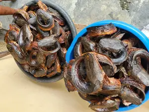 Catfish (Smoked Catfish)
