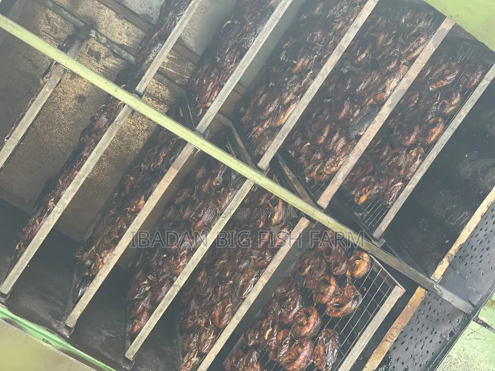Catfish(Oven Dried Catfish)