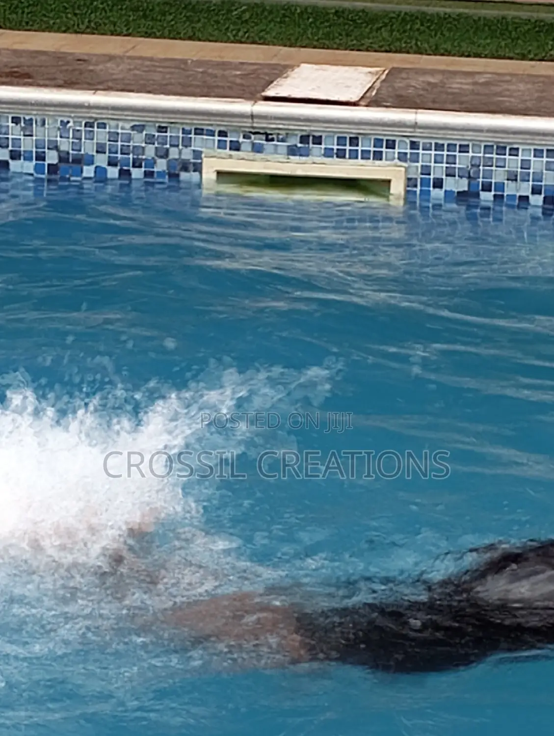 Swimming Training