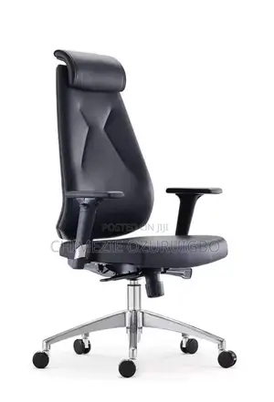 Executive Ergonomic Office Swivel Chair