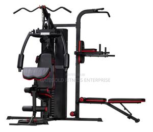 2 Station Home Gym Ms621s