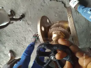 Brass Valve Flange Type