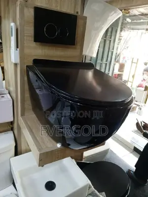 Conceal Water Closet With Complete Accessories And Warranty