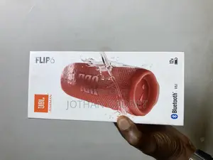JBL Flip 6