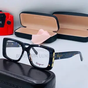 Quality Salvatore Ferragamo Optical Frame