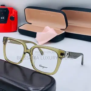 Quality Salvatore Ferragamo Optical Frame