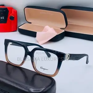 Quality Salvatore Ferragamo Optical Frame