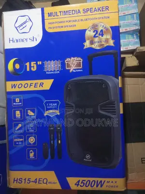 Professional 15" Inches Rechargeable Bluetooth Speaker
