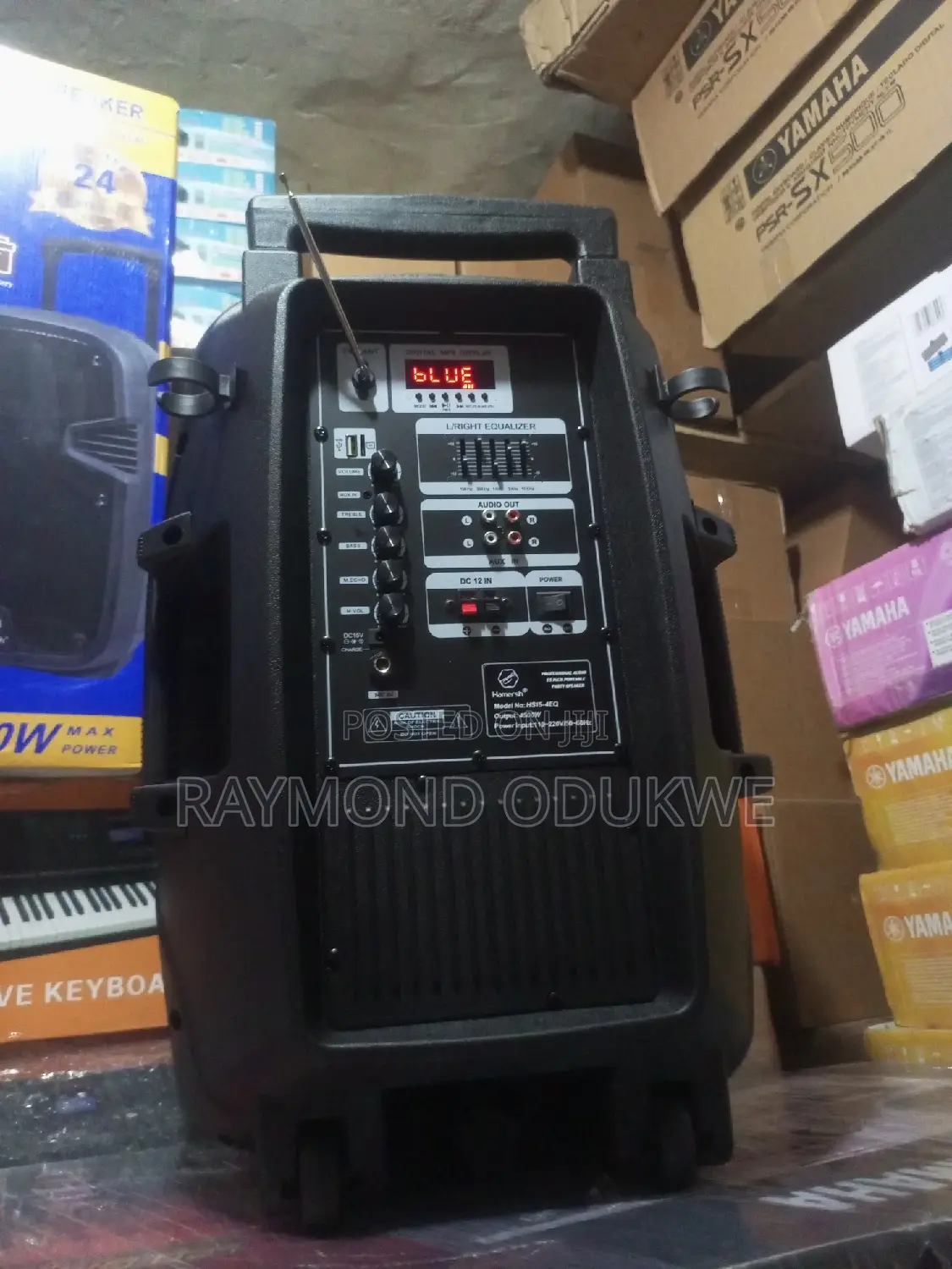 Professional 15" Inches Rechargeable Bluetooth Speaker