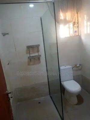 Fixed Shower _Cubicle