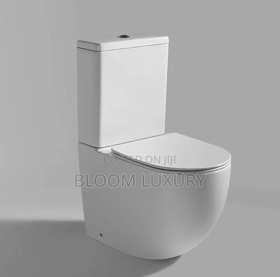 Executive Masters Back to Wall Toilet