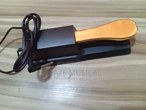 Sustain Pedal