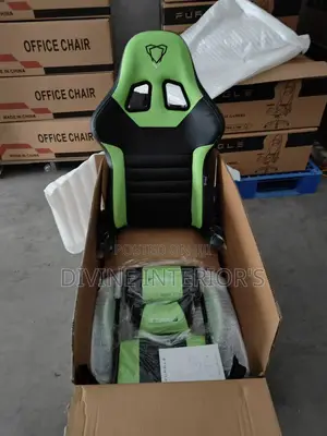 Luxury Gaming Chair/Office Chair