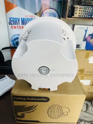 Lucky Time Ceiling Subwoofer