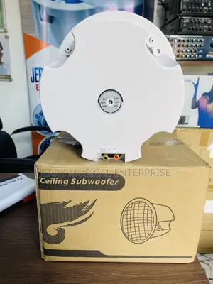 Lucky Time Ceiling Subwoofer