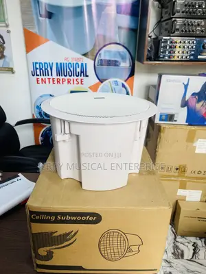 Lucky Time Ceiling Subwoofer