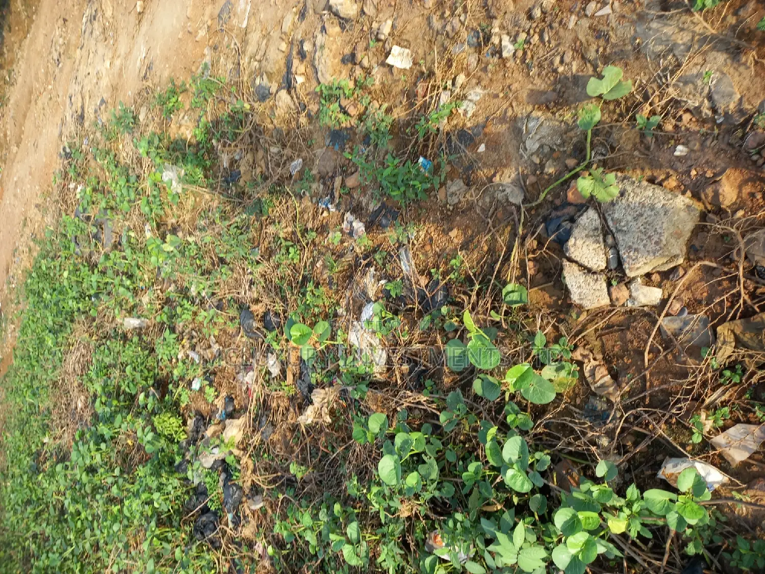 1000 Acres Dry Table Land Behind Yaba Tech Epe /Plot