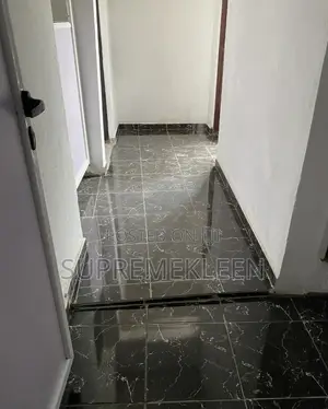 Toilets,Sinks and Entire Bathroom Cleaning Services