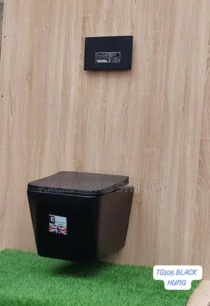 England Standard Black Condit Wc Toilet.