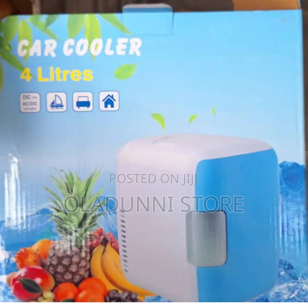 Car Refrigerator