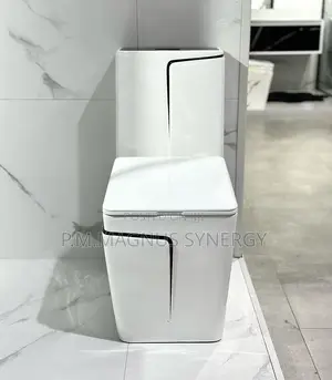 England Standard White An Black Design Wc.